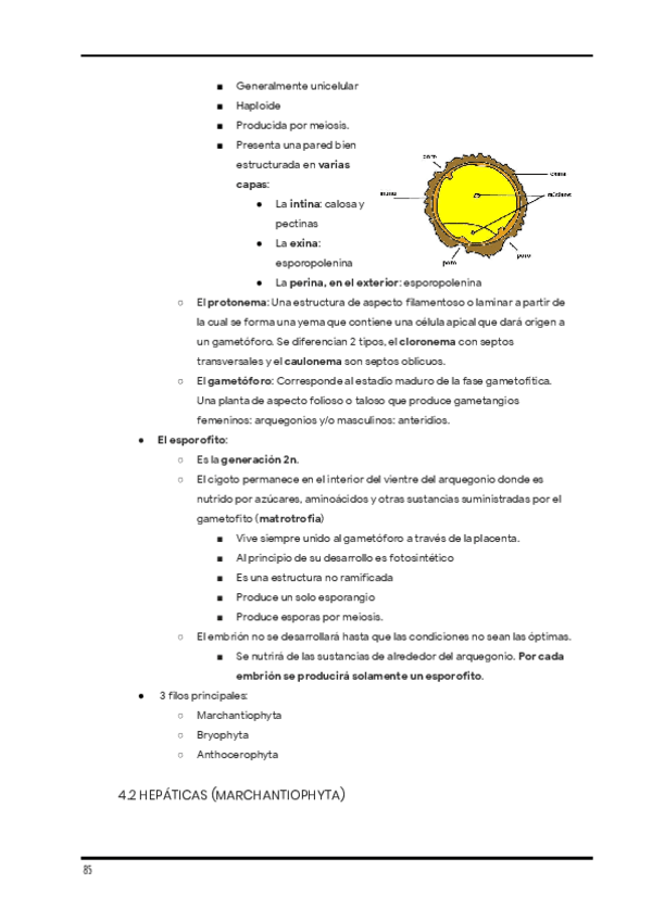 Miniatura del documento Apuntes-de-clase.-Diversidad-1er-cuatri-22.pdf