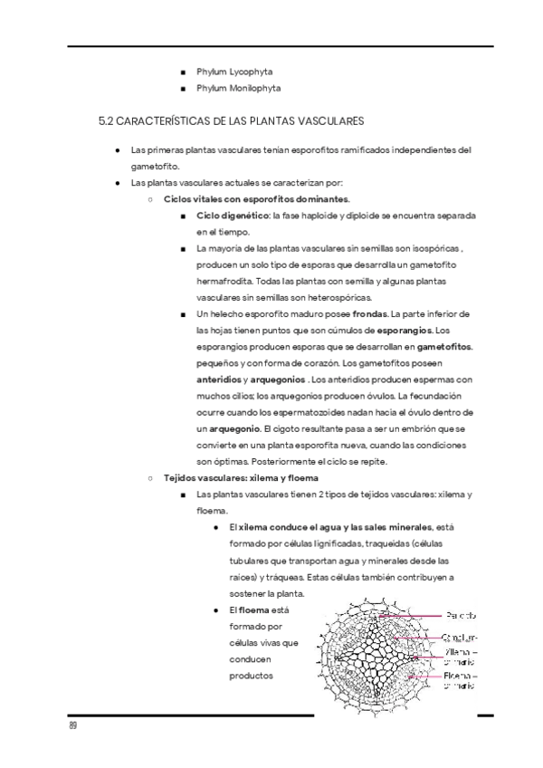 Miniatura del documento Apuntes-de-clase.-Diversidad-1er-cuatri-23.pdf