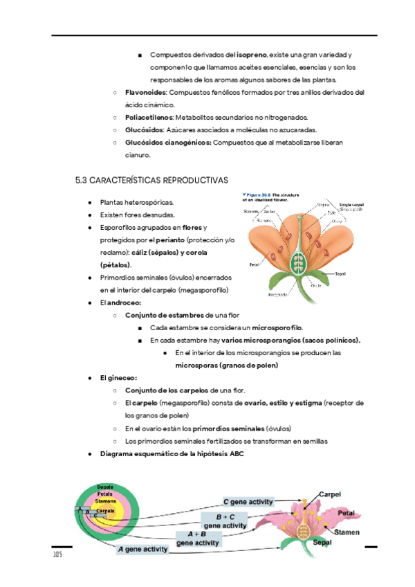 Miniatura del documento Apuntes-de-clase.-Diversidad-1er-cuatri-27.pdf