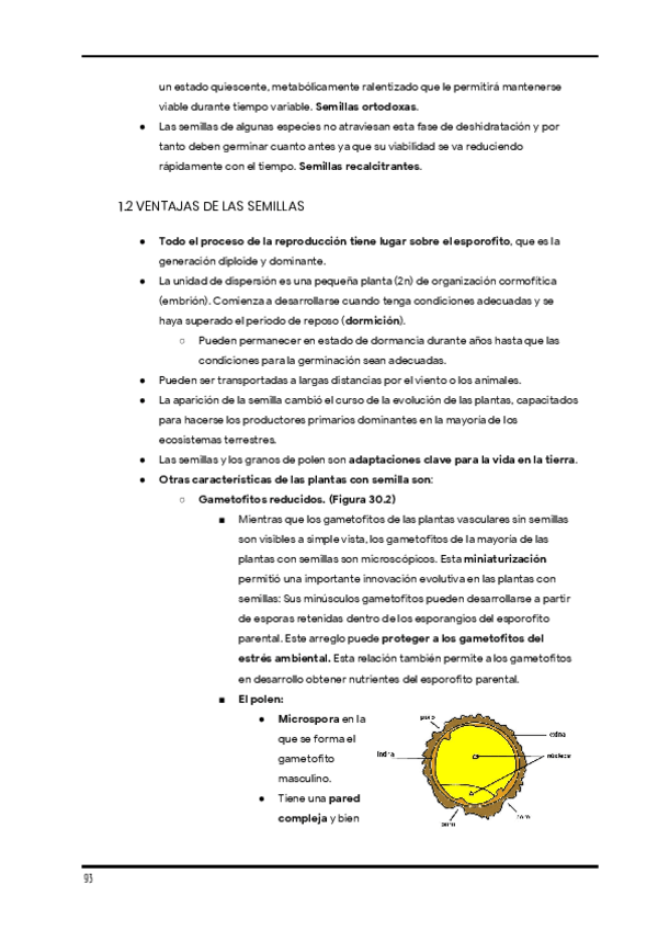 Miniatura del documento Apuntes-de-clase.-Diversidad-1er-cuatri-24.pdf