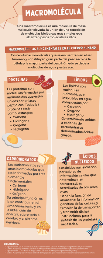 Miniatura del documento Macromolecula.pdf