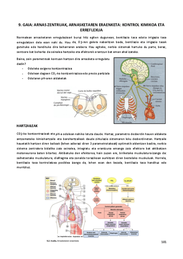 Miniatura del documento 9.-GAIA.pdf