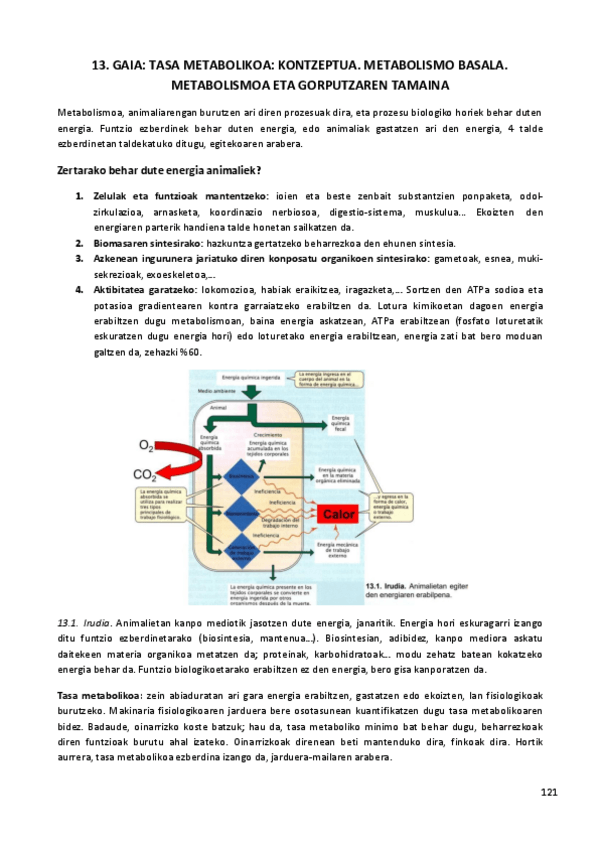 Miniatura del documento 13.-GAIA.pdf