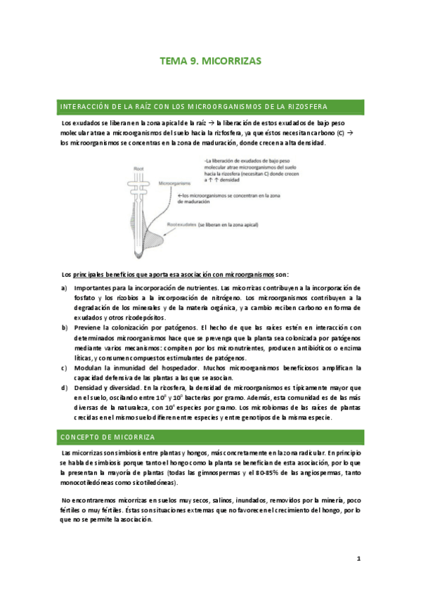 Miniatura del documento TEMA-9.pdf
