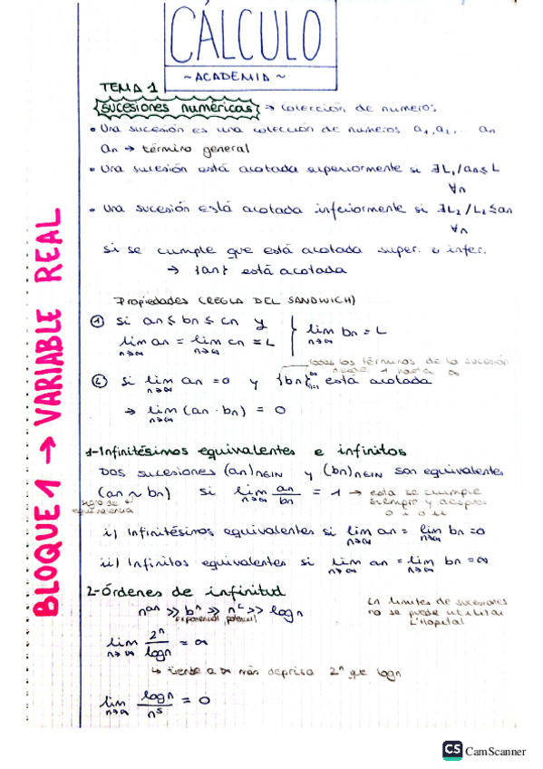 Miniatura del documento BLOQUE-1-Variable-real.pdf
