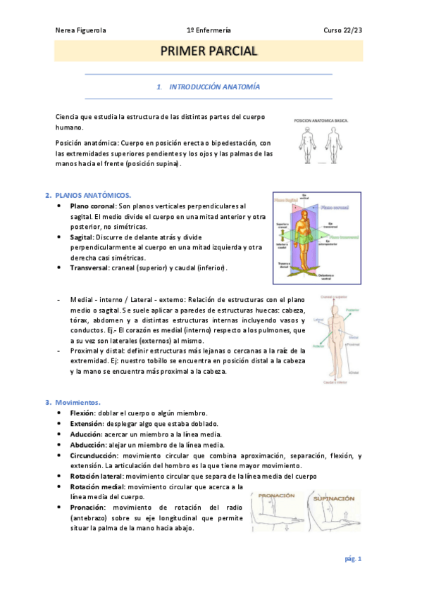 Miniatura del documento ANATOMIA 2023 (1er parcial) TEMARIO COMPLETO.pdf
