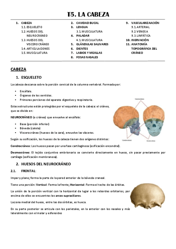 Miniatura del documento T5-CABEZA.pdf