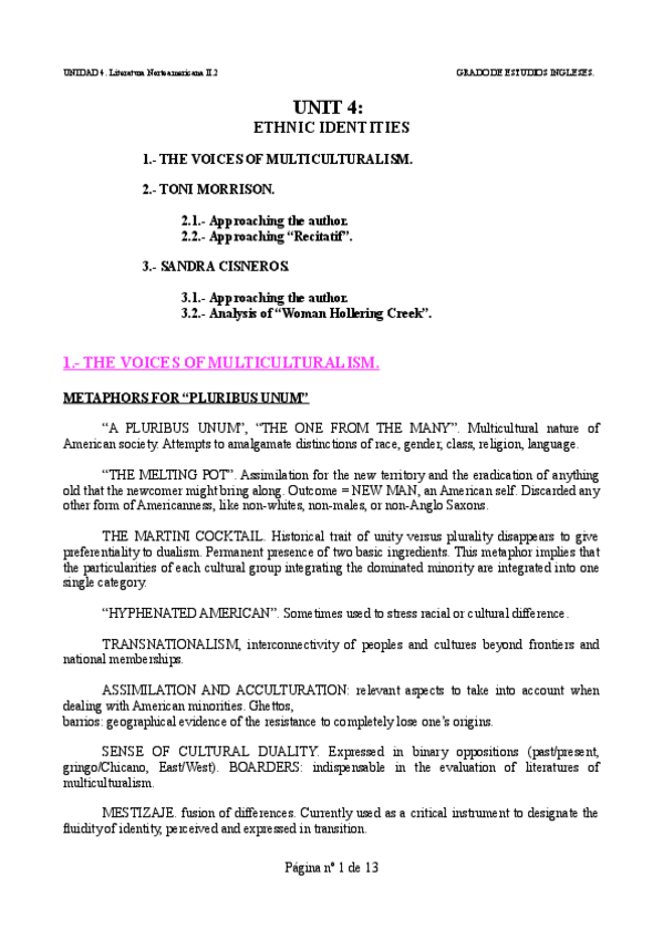 Miniatura del documento UNIT-4.-Ethnic-identities..pdf