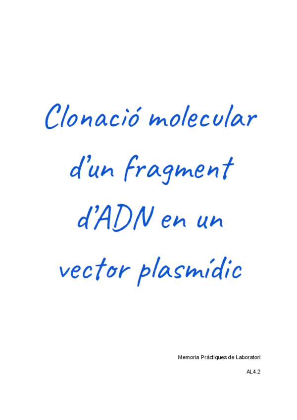 Miniatura del documento Memoria-Laboratorio.pdf