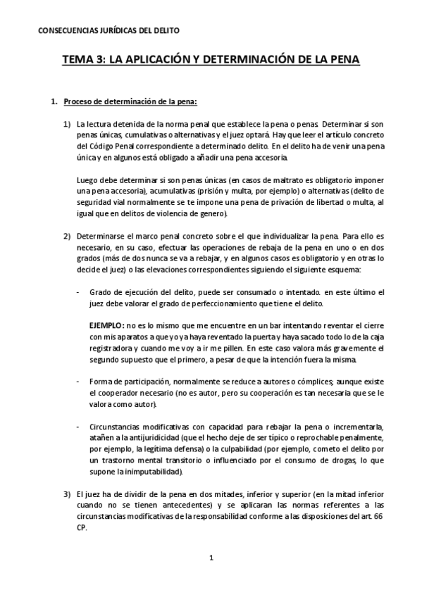Miniatura del documento TEMA-3-LA-APLICACION-DE-LA-PENA.pdf