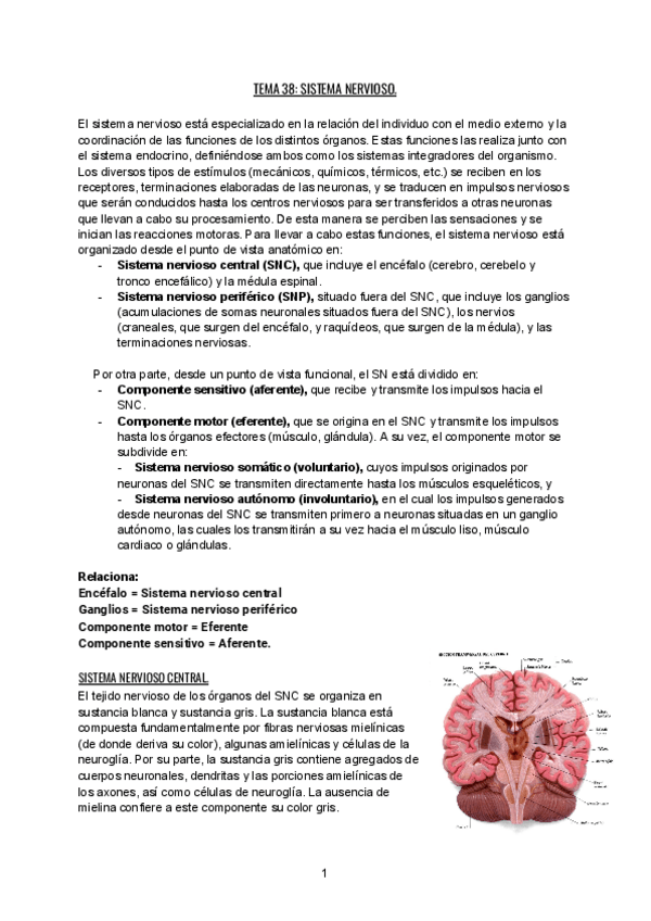 Miniatura del documento BCH-3o-PARCIAL.pdf