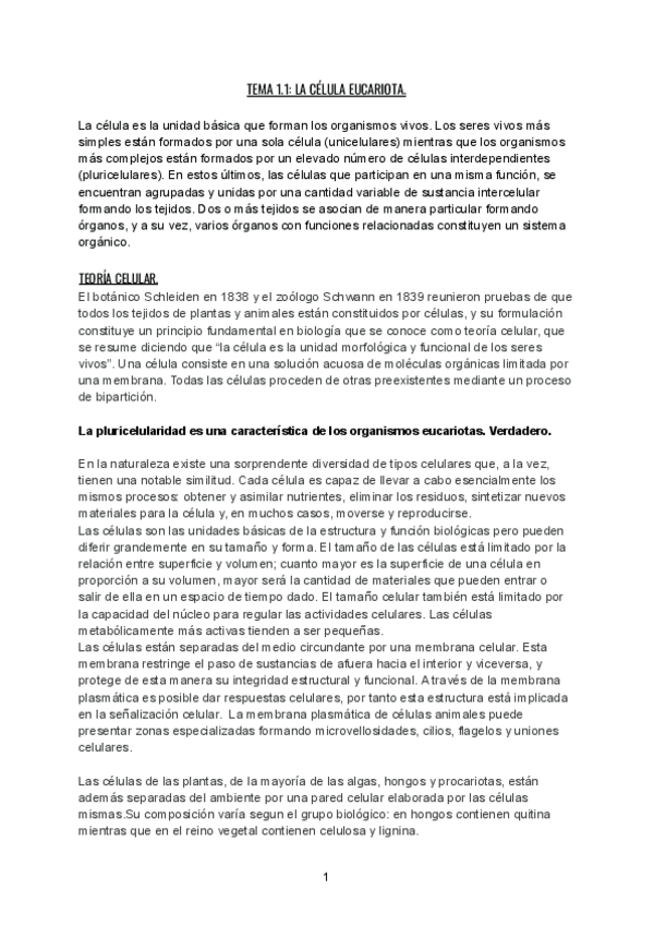 Miniatura del documento BCH-1o-PARCIAL.pdf