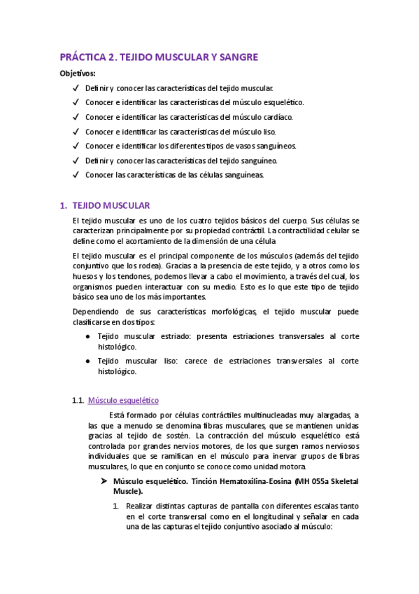 Miniatura del documento P2.pdf