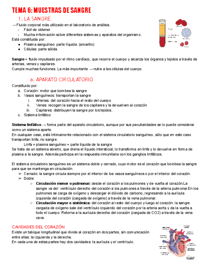 Miniatura del documento EV2-GMB.pdf