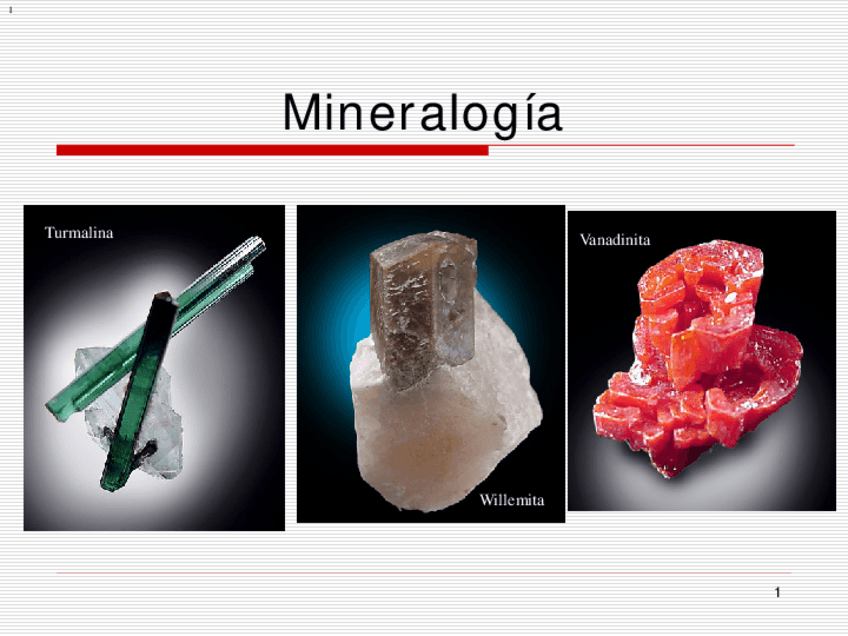Miniatura del documento Mine-pdf.pdf