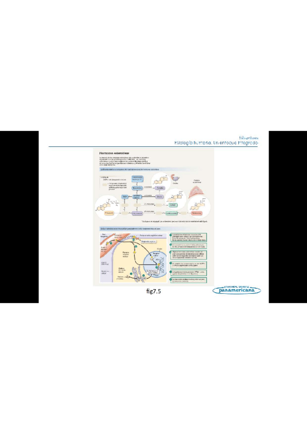 Miniatura del documento Todo-el-temario-fisiologia-humana-4.pdf