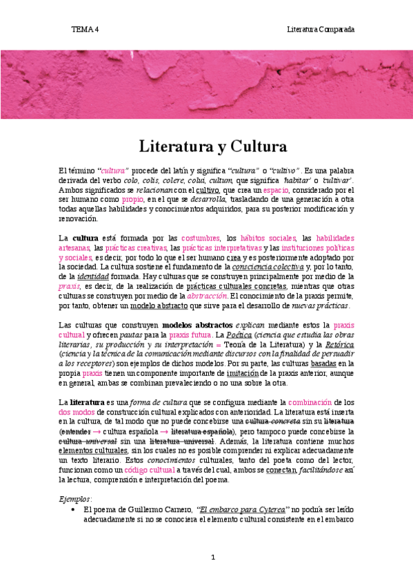 Miniatura del documento tema-4.-Literatura-y-Cultura.pdf
