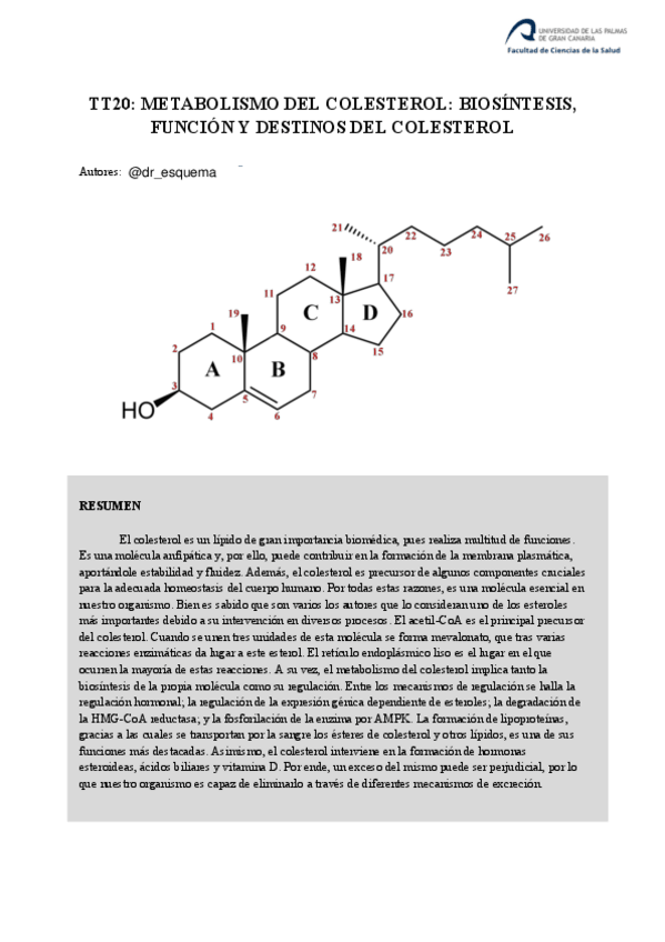 Miniatura del documento TT-COLESTEROL.pdf