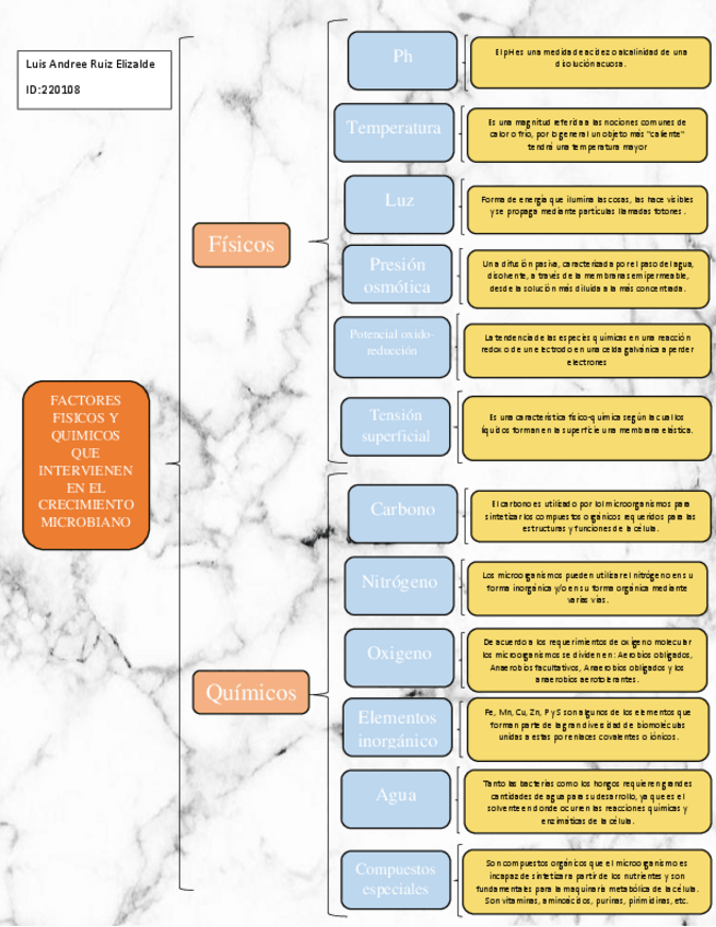 Miniatura del documento CUADRO-SINOPTICO-DE-LOS-FACTORES-FISICOS-Y-QUIMICOS-QUE-INTERVIENEN-EN-EL-CRECIMIENTO-MICROBIANO.pdf