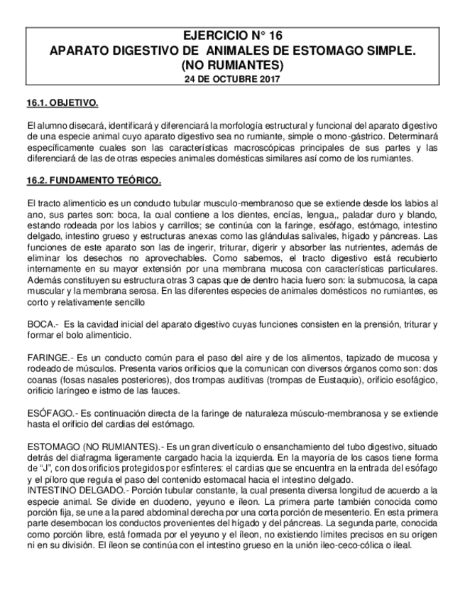 Miniatura del documento Practica-N-16.pdf