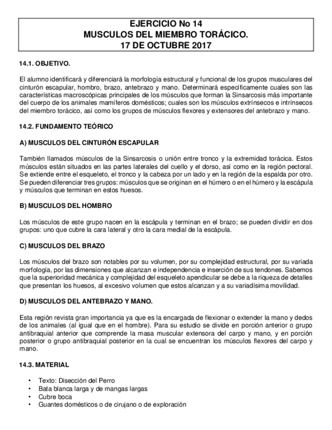 Miniatura del documento Practica-N-14.pdf