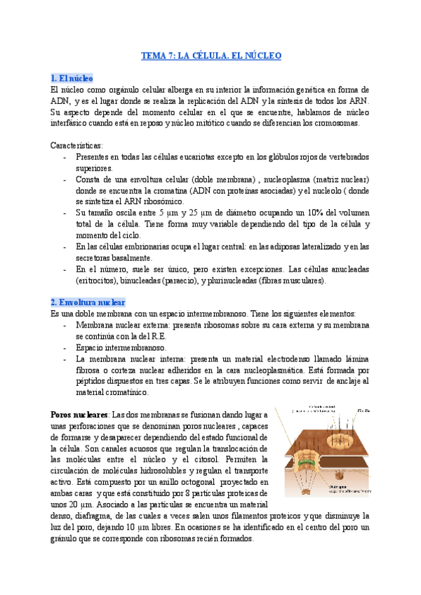 Miniatura del documento TEMA-7-LA-CELULA-1.pdf
