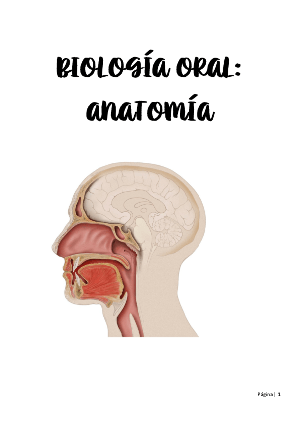 Miniatura del documento APUNTES-ANATOMIA-BIOLOGIA-ORAL.pdf