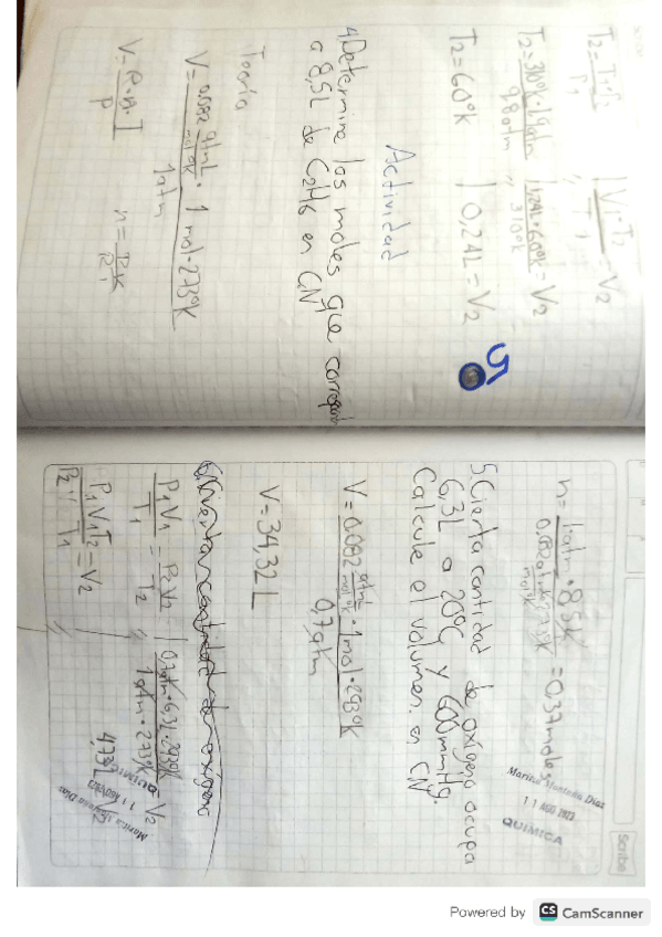 Miniatura del documento ley-charles.pdf