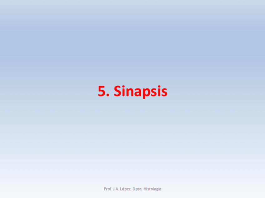 Miniatura del documento 6.-T.O.Sinapsis-22-23.pdf