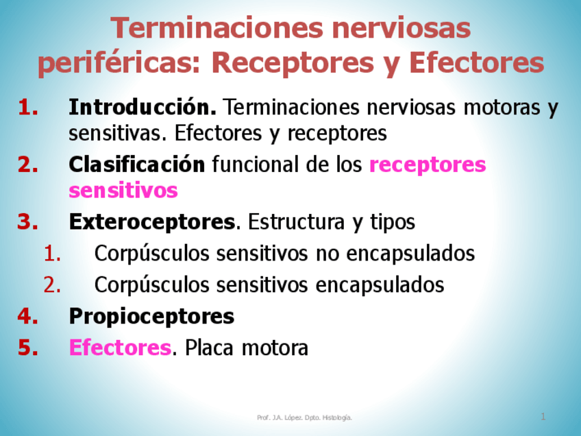 Miniatura del documento 7.-T.O.-Recptores-22-23.pdf
