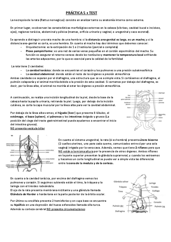 Miniatura del documento Practica-5--Test-5.pdf