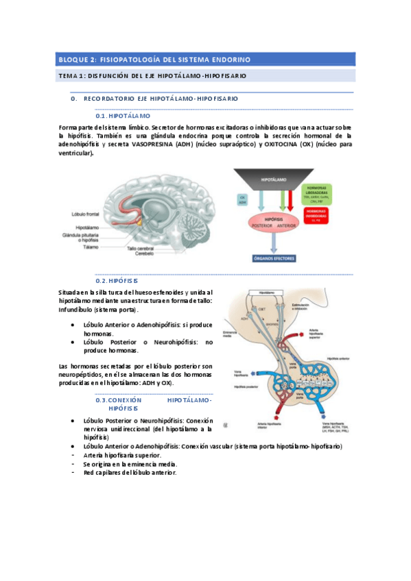 Miniatura del documento Bloque-2-Tema-1-Fisiopatologia.pdf