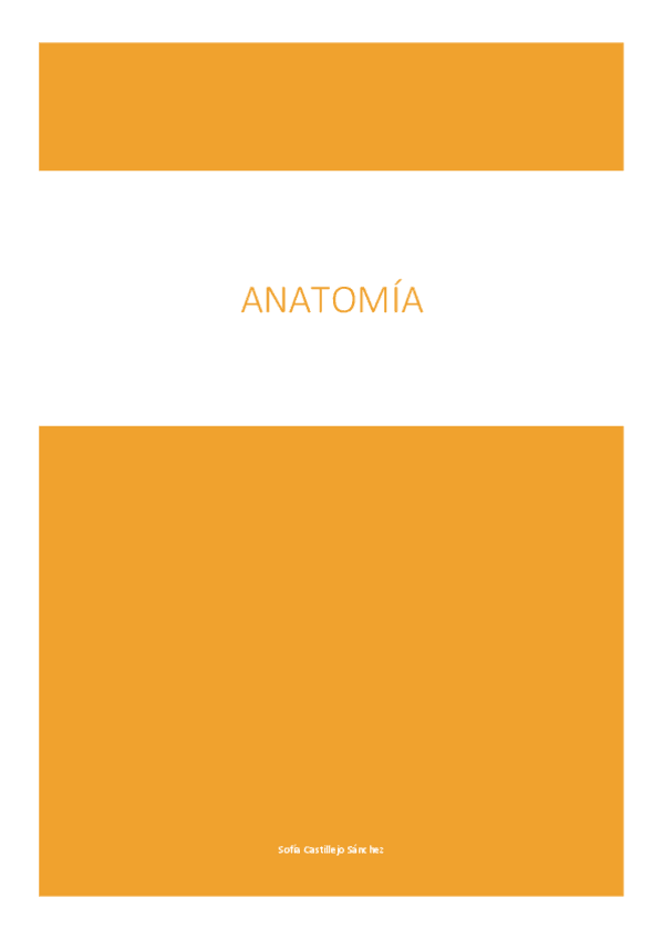 Miniatura del documento anatomia-1er-cuatri..pdf
