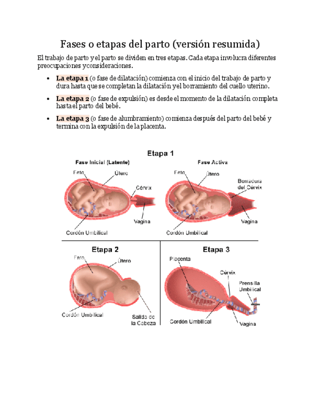 Miniatura del documento Fases-del-parto-resumen.pdf