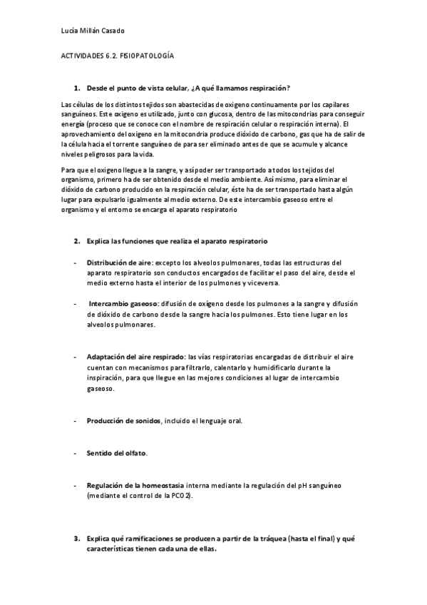 Miniatura del documento Actividades-respiratorio-Lucia.pdf