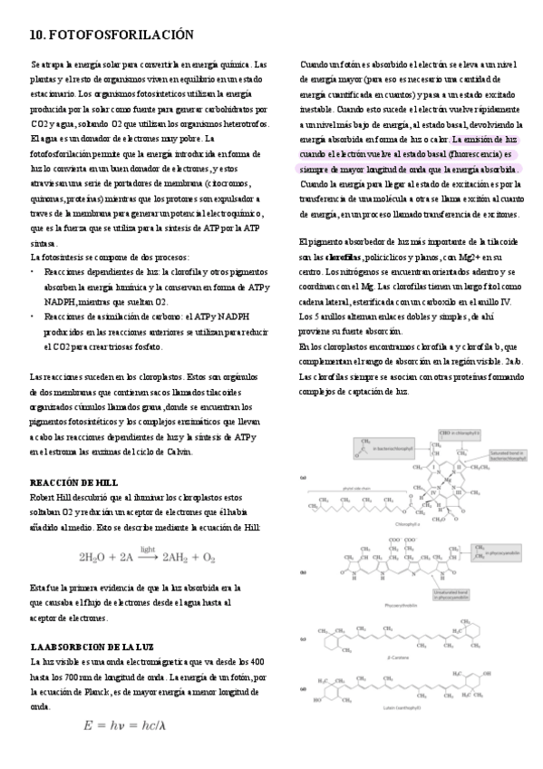 Miniatura del documento 10.-Fotofosforilacion.pdf