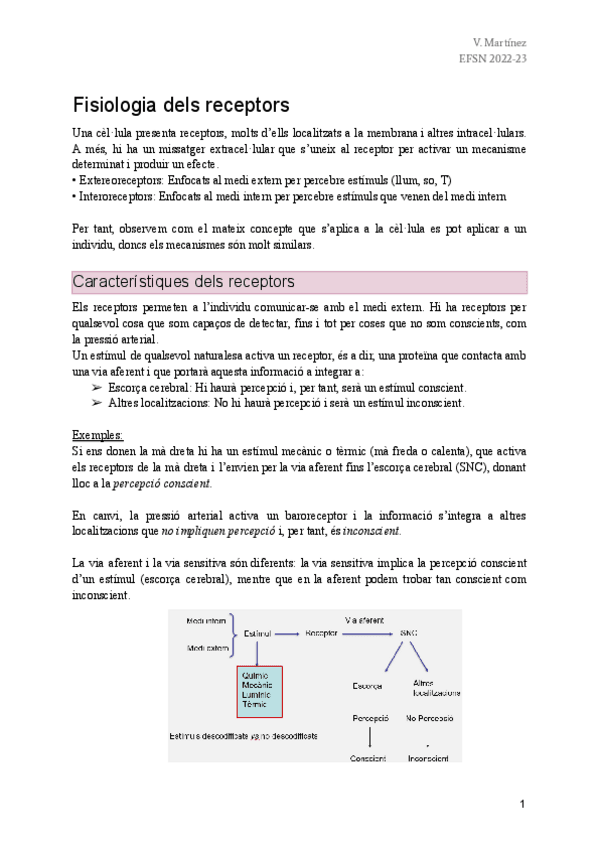 Miniatura del documento EFSN-2o-Parcial.pdf