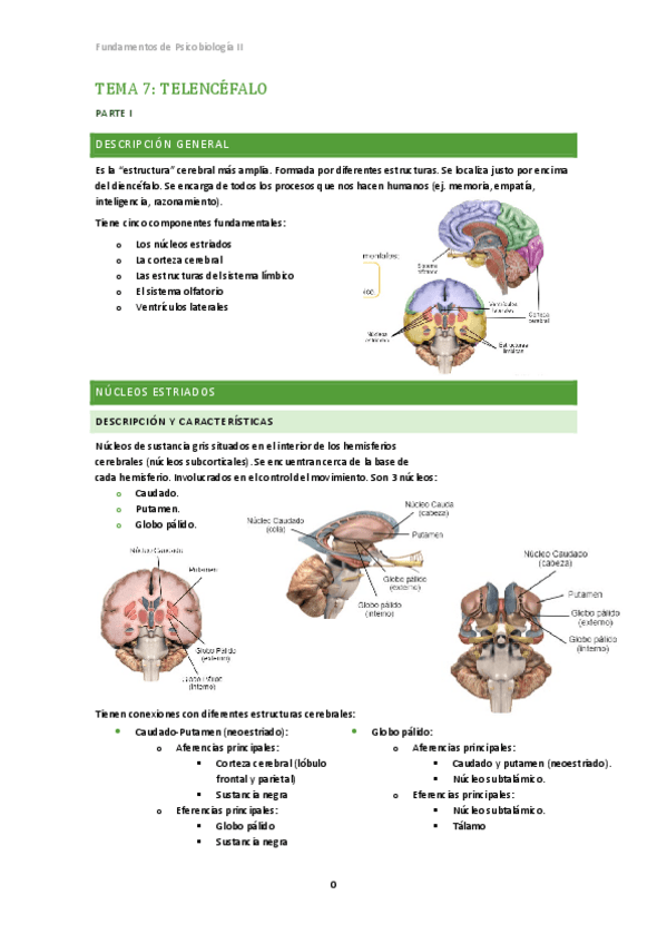 Miniatura del documento Tema 7. Fundamentos Psicobiología II.pdf