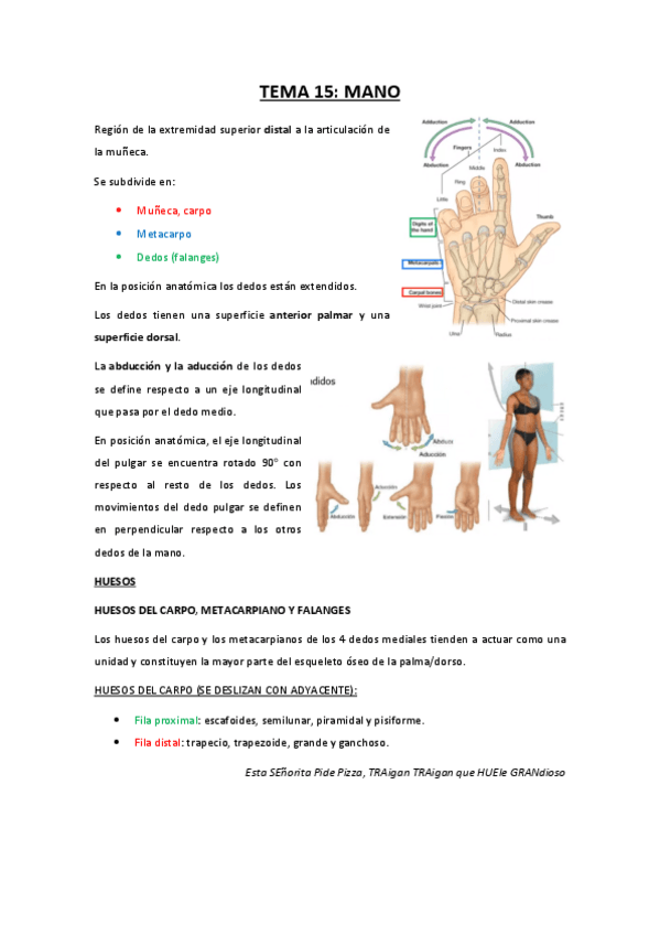 Miniatura del documento TEMA-15-mano.pdf
