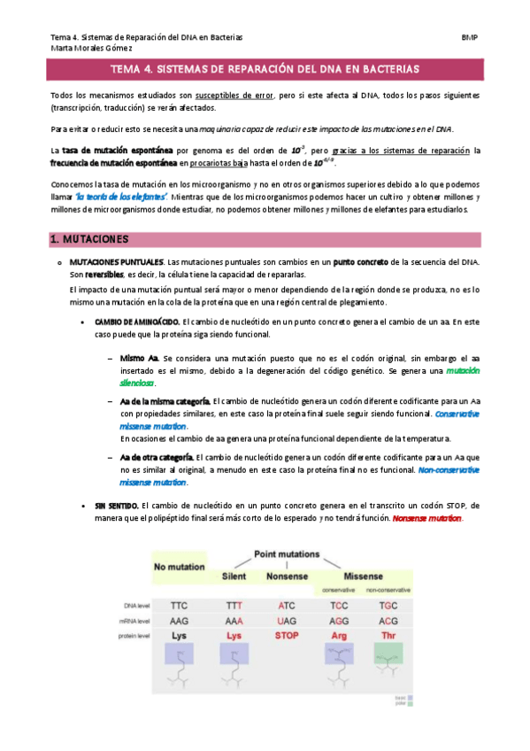 Miniatura del documento Tema-4.-Sistemas-de-Reparacion-del-DNA-en-Bacterias.pdf
