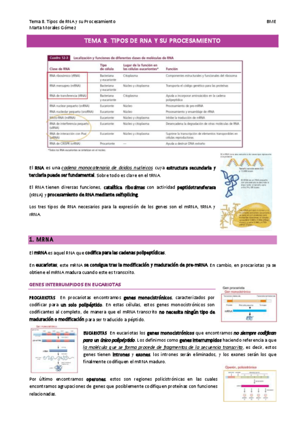 Miniatura del documento Tema-8.-Tipos-de-RNA-y-su-Procesamiento.pdf