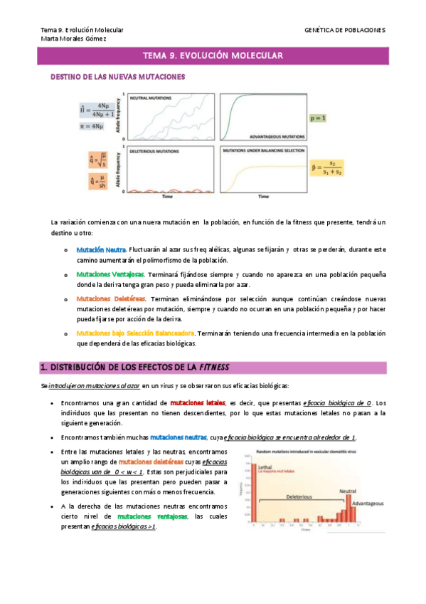 Miniatura del documento Tema-9.-Evolucion-Molecular.pdf