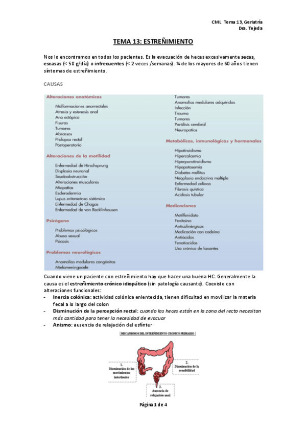 Miniatura del documento tema-13-geriatria.pdf