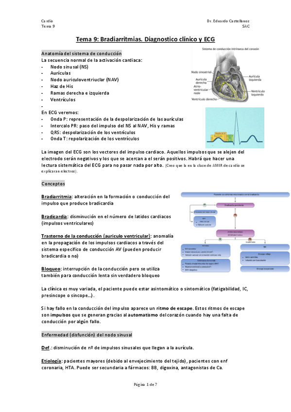 Miniatura del documento TEMA-9-bradiarritmias.pdf