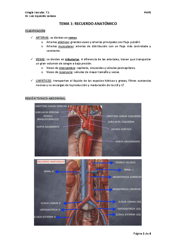 Miniatura del documento TEMA-1-cx-vascular.pdf
