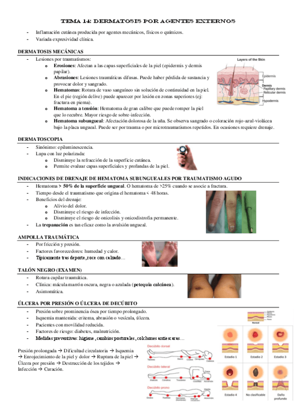Miniatura del documento TEMA-14-Dermatosis-por-agentes-externos.pdf