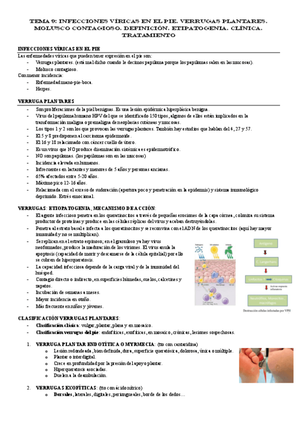 Miniatura del documento TEMA-9.pdf