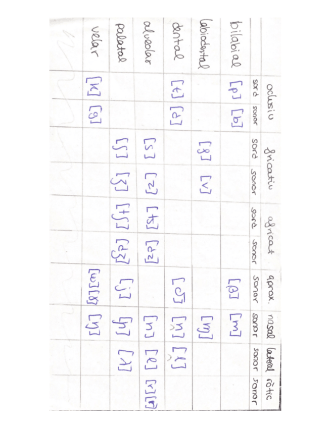 Miniatura del documento sons-fonetics-catala.pdf