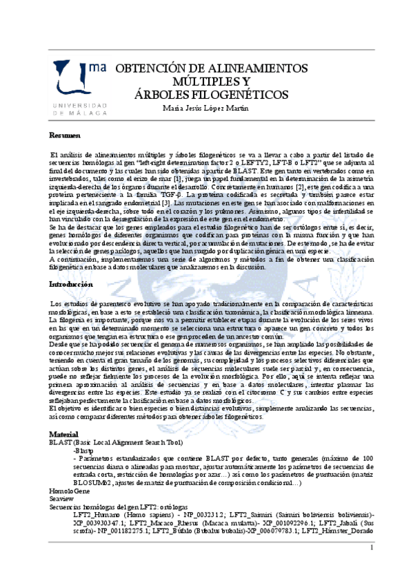 Miniatura del documento LópezMartín_MemoriaPractica1.pdf