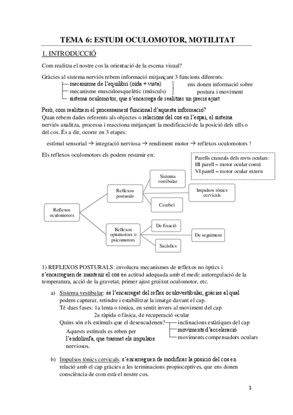 Miniatura del documento TEMA 6 estudi oculomotor.pdf